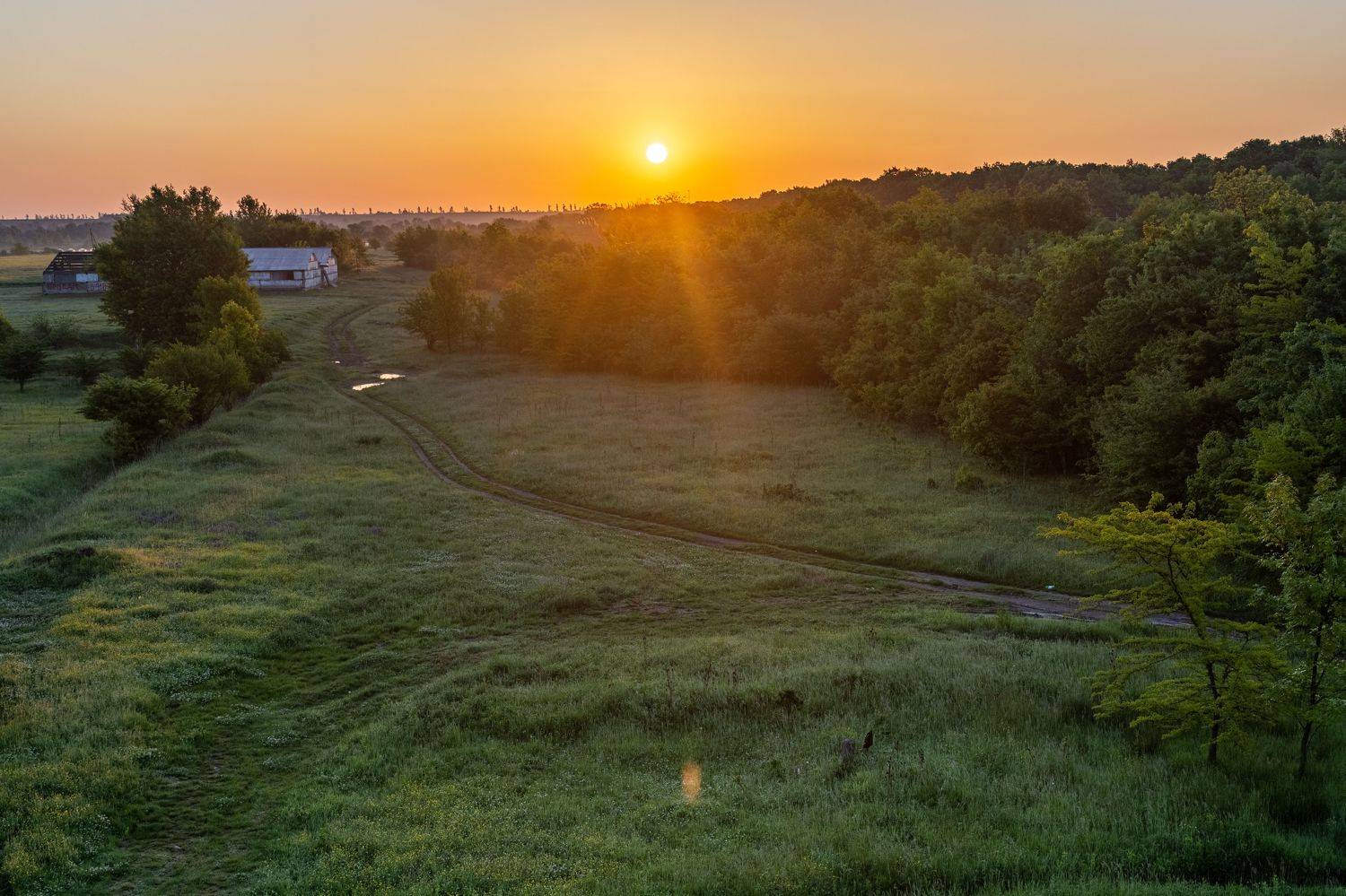 , Елена Плотникова