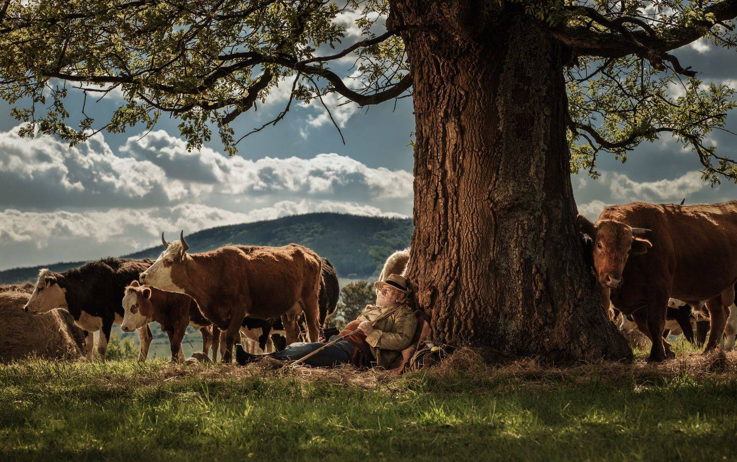 , Vladimir Karamazov