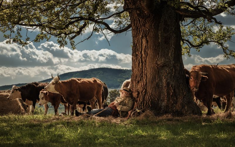 фото превью