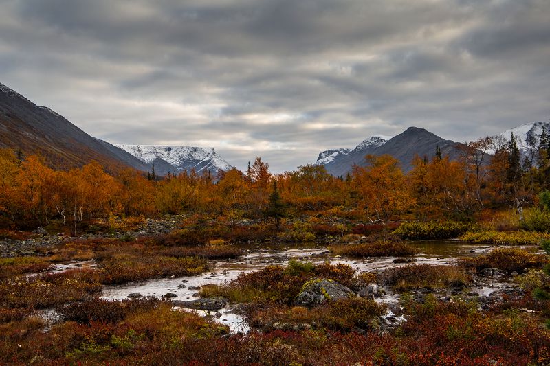 кольский,хибины,куэльпорр,осень Осень фото превью