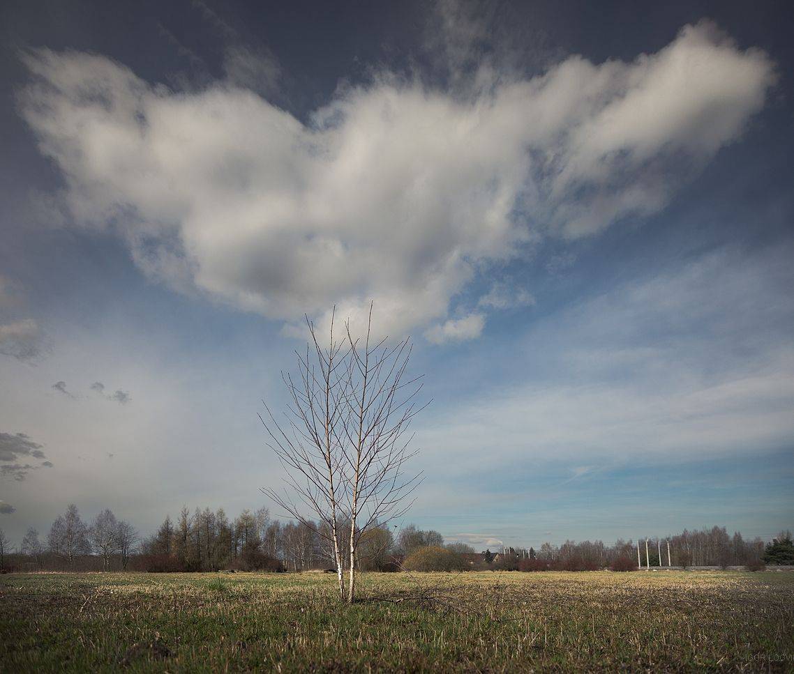 пейзаж польша лодзь облако, Igor Logvin