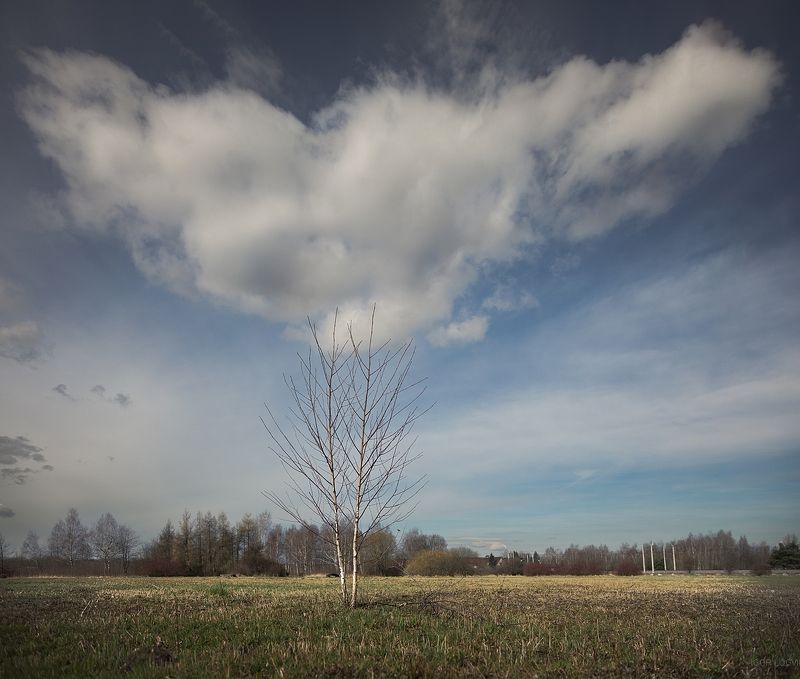 пейзаж польша лодзь облако Lublinek фото превью