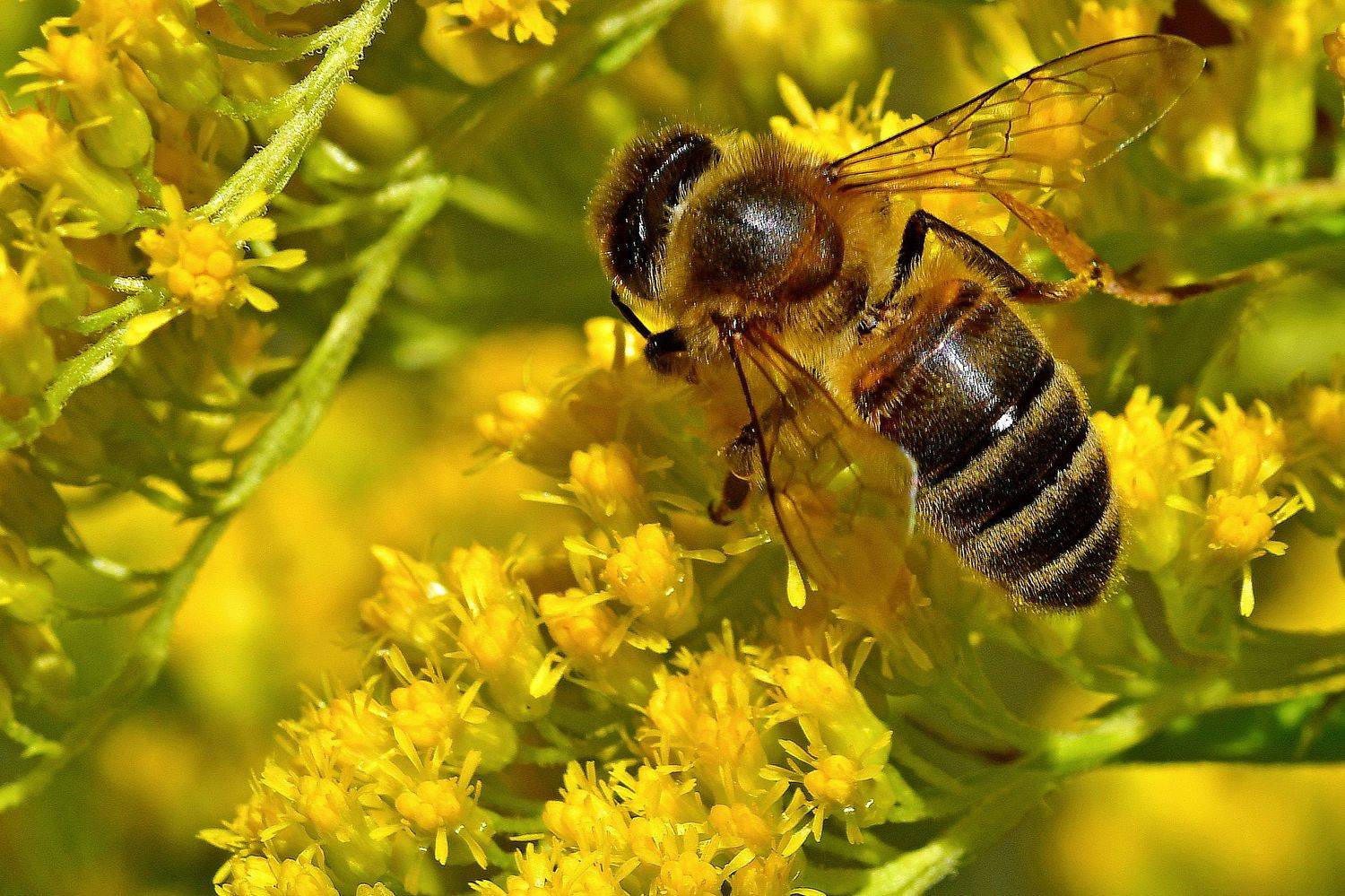 , Корнейчук Игорь