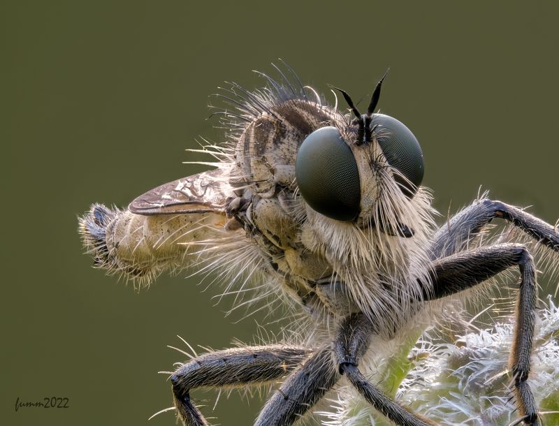 ПОРТРЕТ 3/4 КТЫРЬ. СТЕКИНГ фото превью
