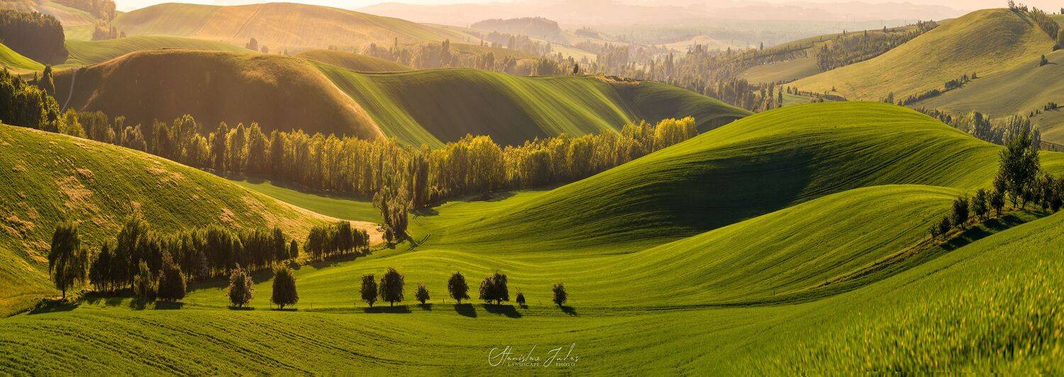 Green, Stanislav Judas