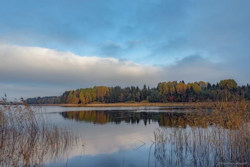 озеро, вечер, тверская область, осень, озеро селигер Залив Близна фото превью