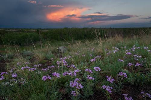 После дождя