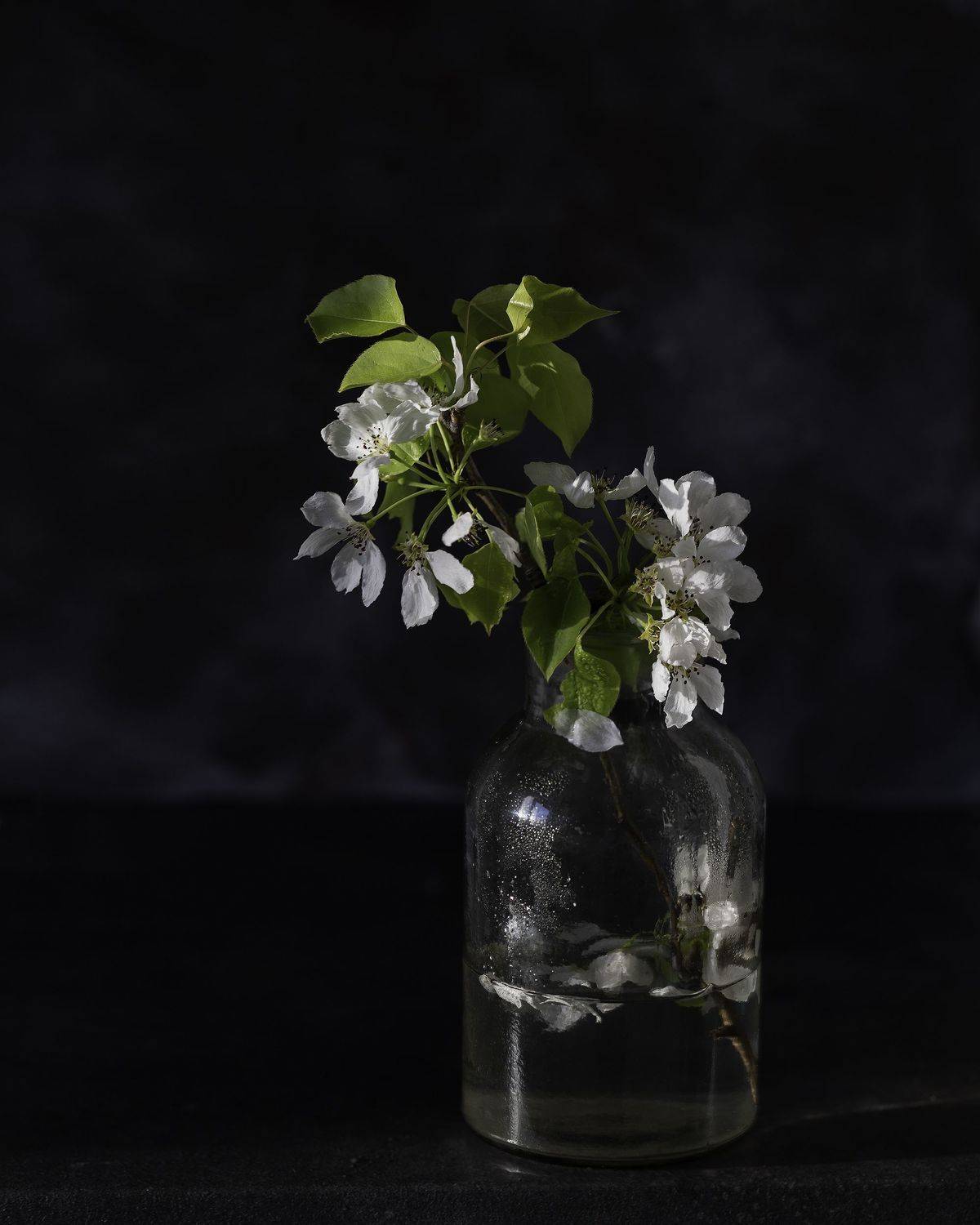 , Светлана Ерохина