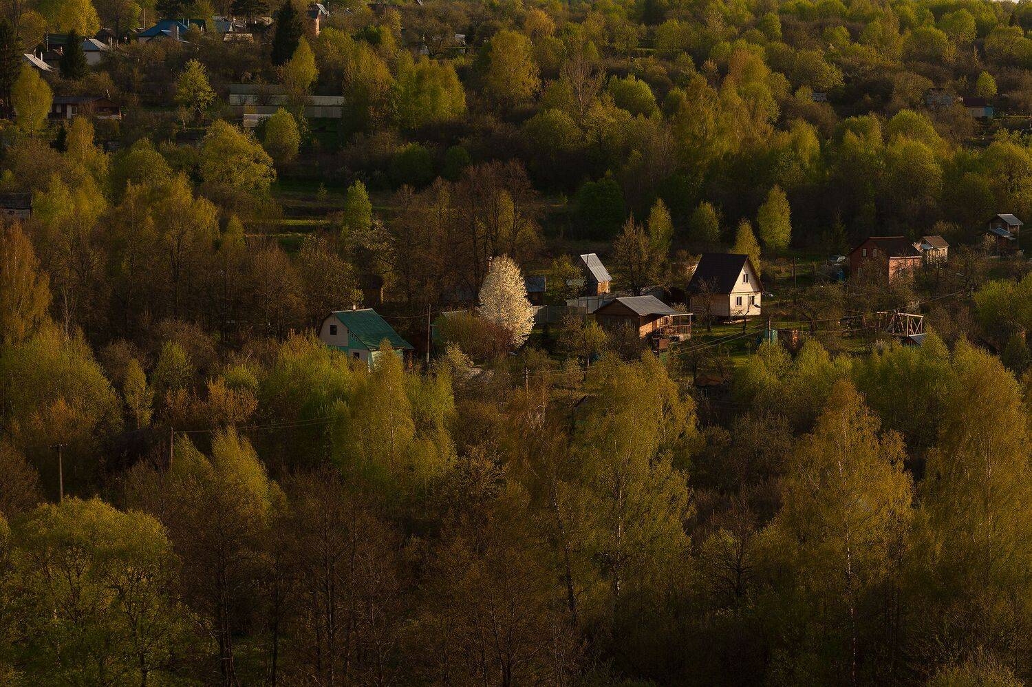 , Виталий Стрельцов