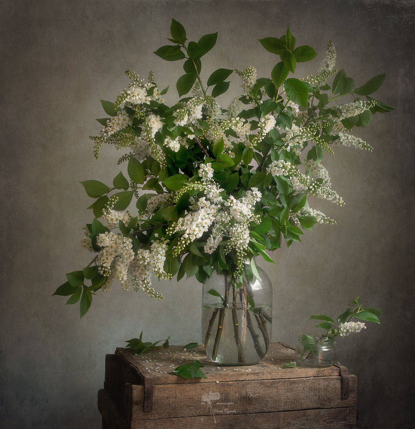 , Инна Сухова