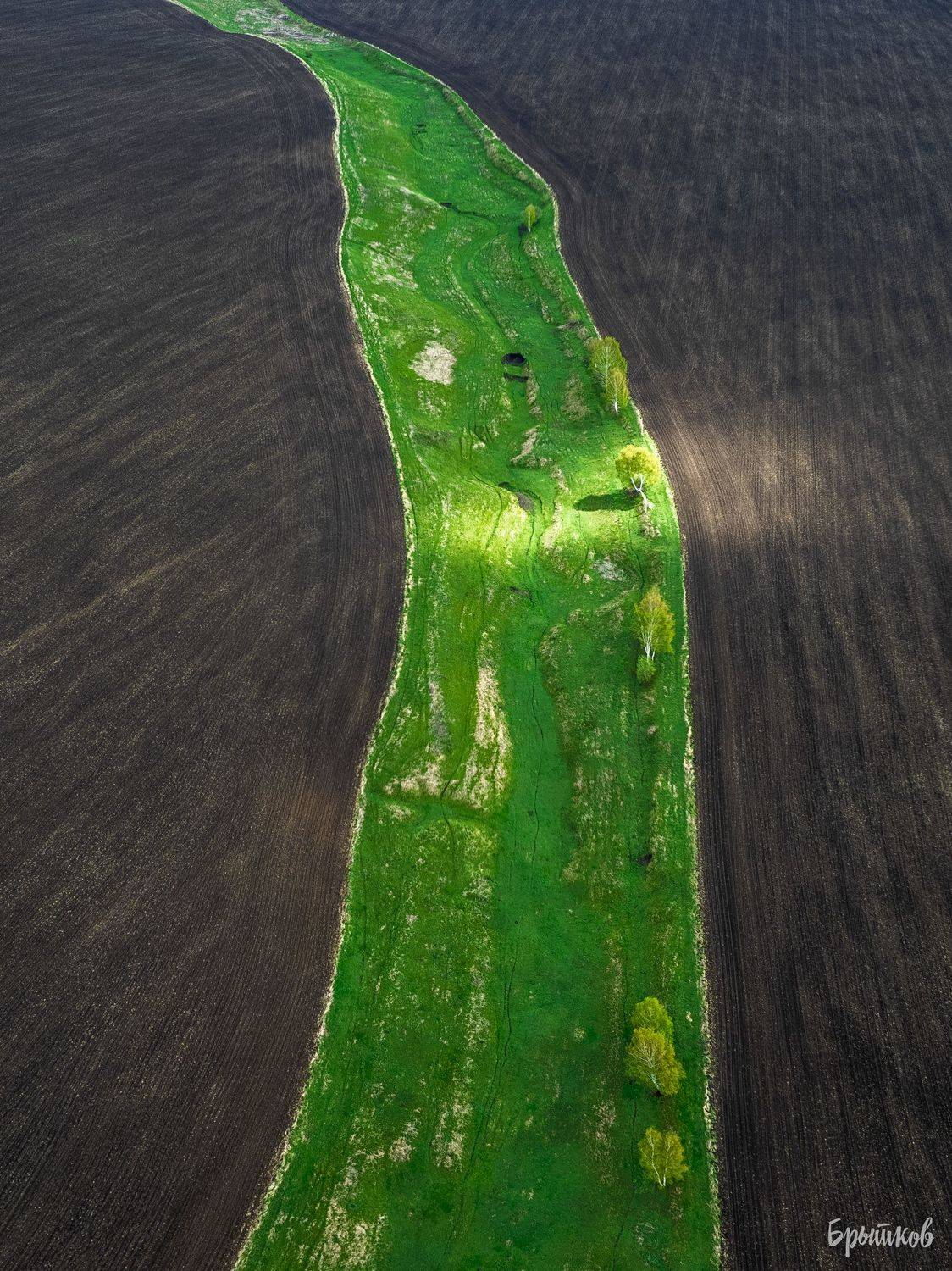 , Николай Брытков