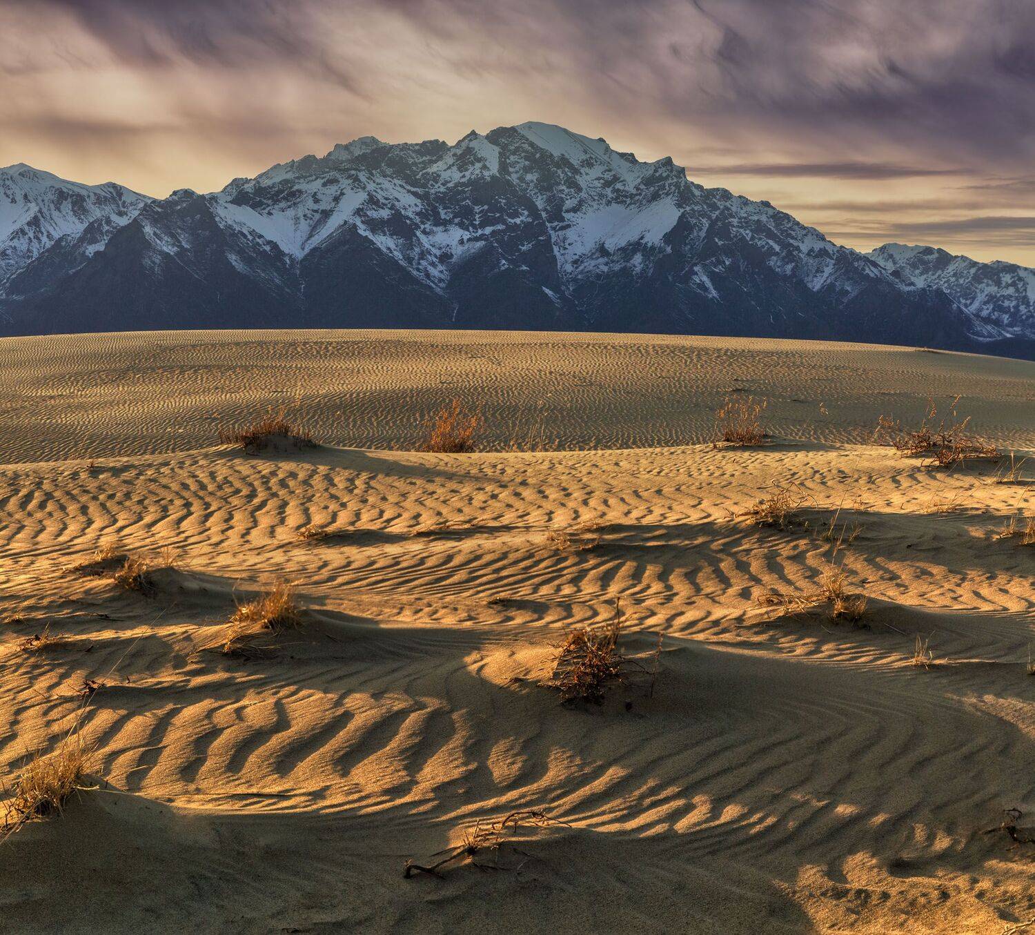 Фототуры с Владимиром Рябковым, Чарские пески, #topnature #russpasibo #magic_shots #lovelyRussia #sunset_vision #exclusive_sky  #exclusive_shots #loves_russia2 #photoarena_nature #nature_sultans #nature_perfection #rsa_sky #rsa_sunset #photorussia #rsa_na, Владимир Рябков