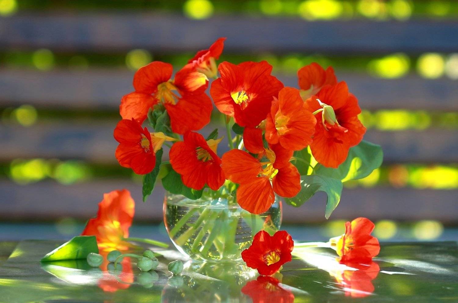 , Наталья Казанцева