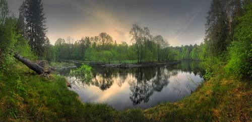 В тихом омуте