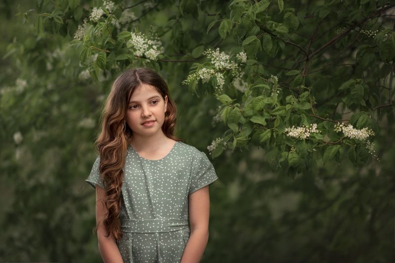 фото превью