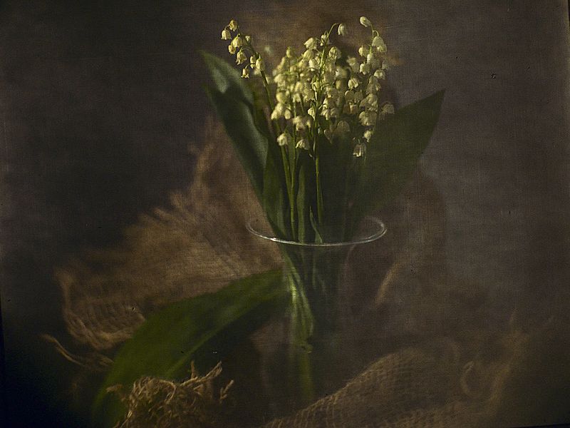 Оставьте ландыши весне... фото превью