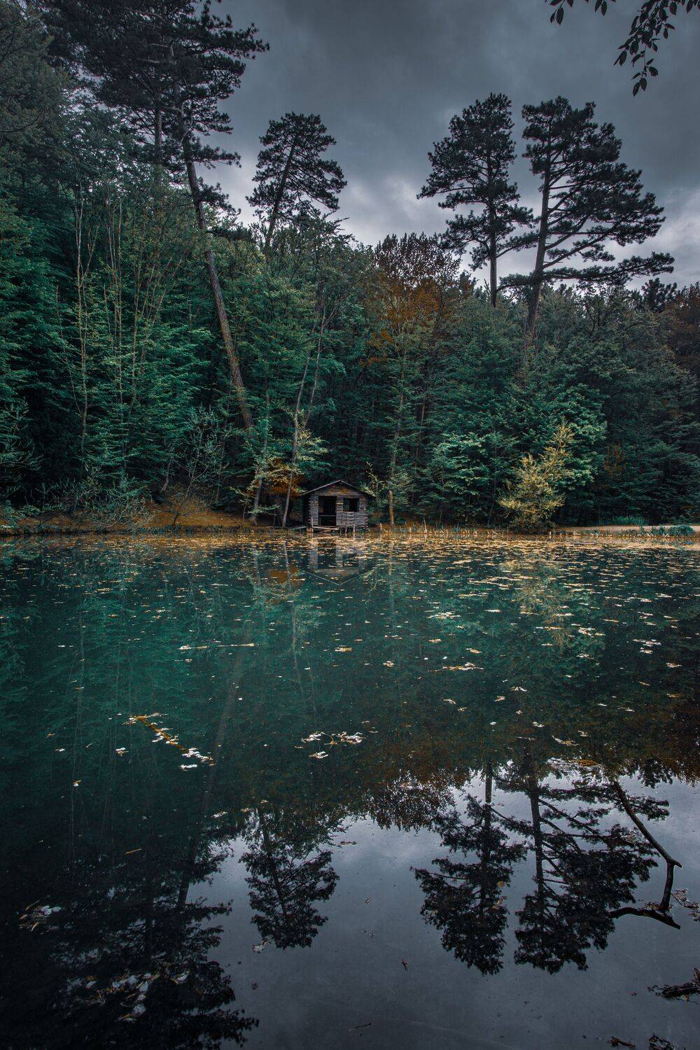 , Андрей Кривцов