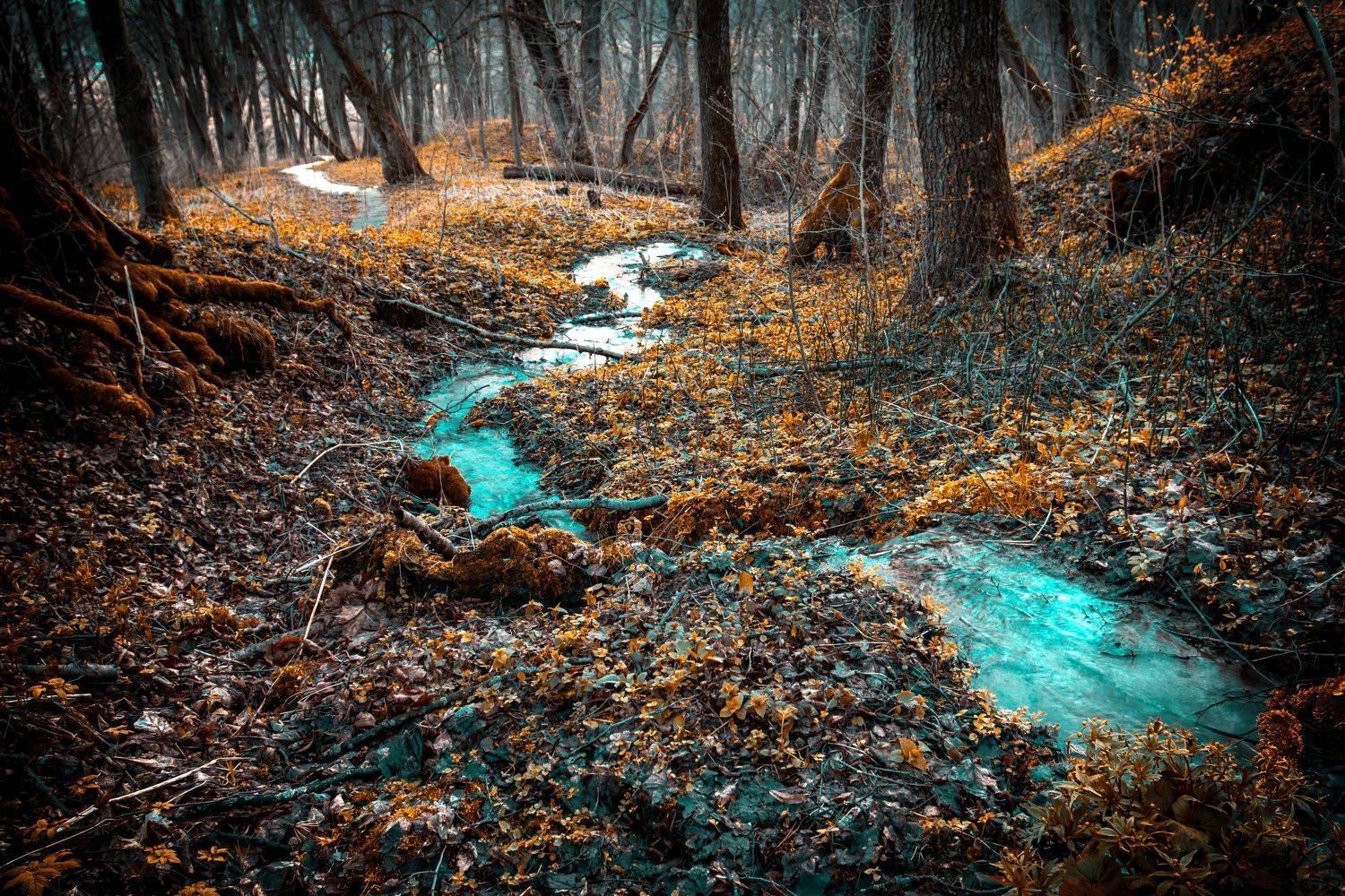 , Максим Салихов