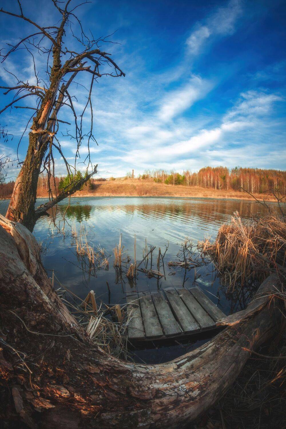 , Котов Андрей