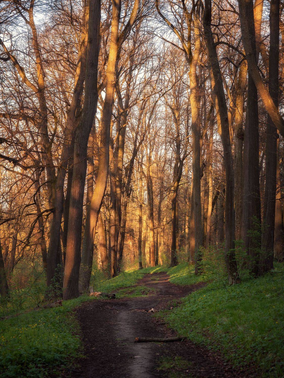 , Мозжухин Максим