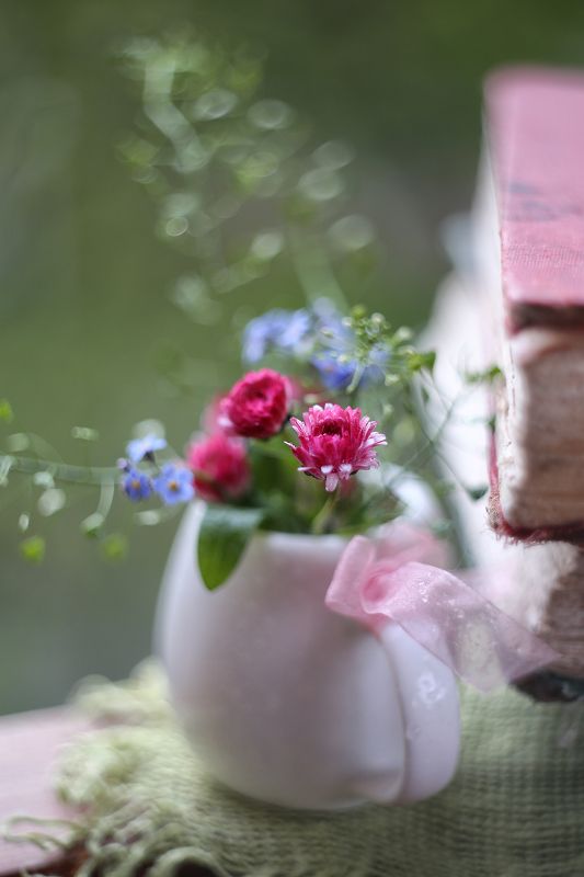 маргаритки,весна, кувшинчик, бантик, цветок весны и любви, краски весны,беларусь Маргаритки фото превью