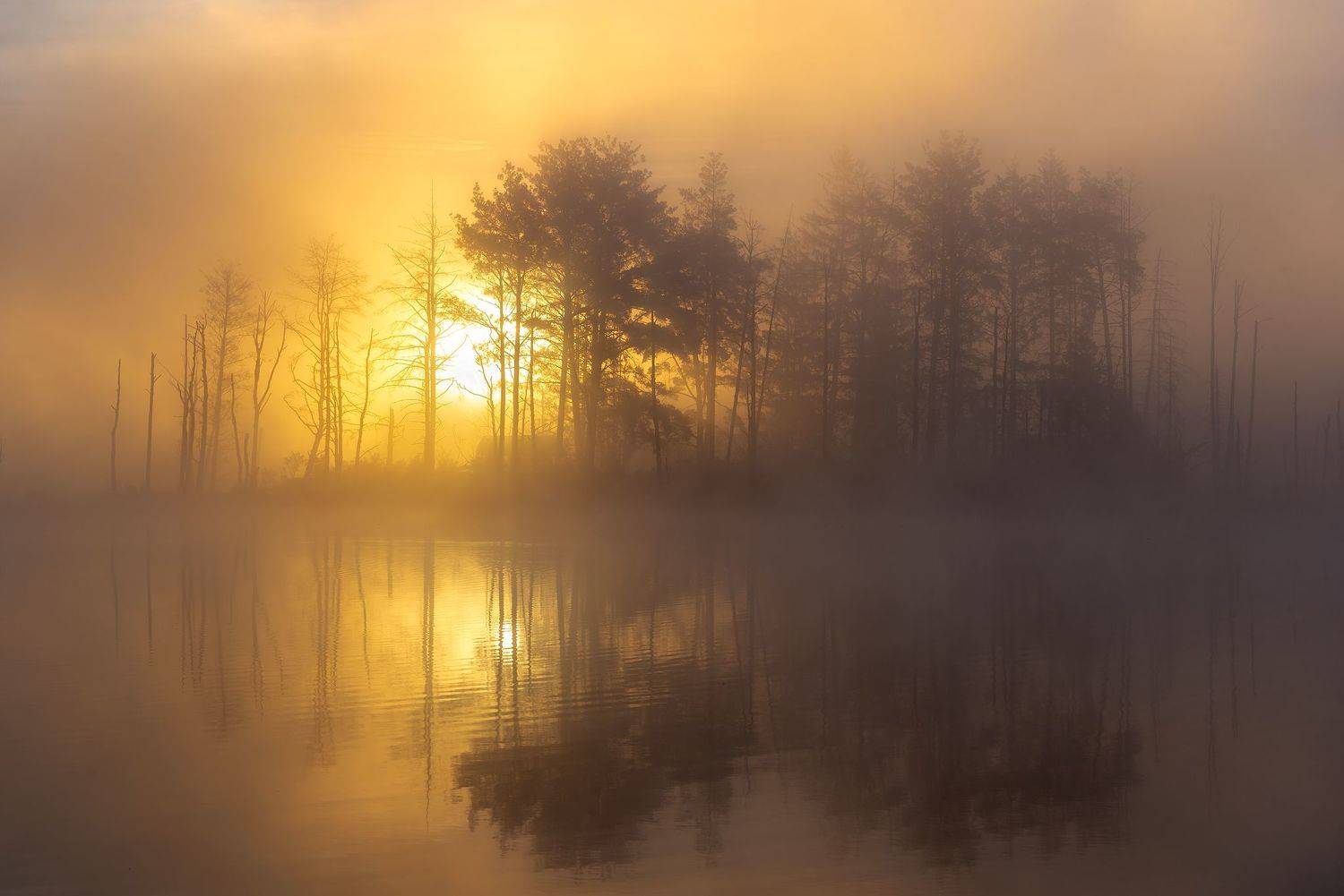 , Руслан Авдевич