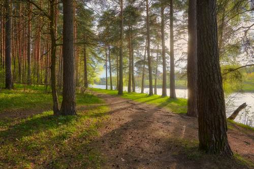 Солнечный майский вечер