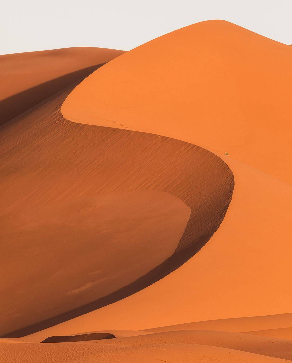 , Костадин Маджаров