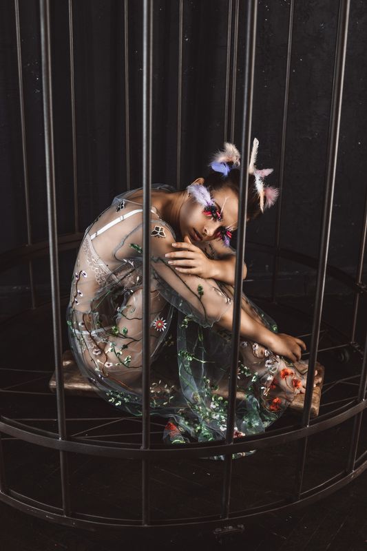 Птичка в клетке фото превью