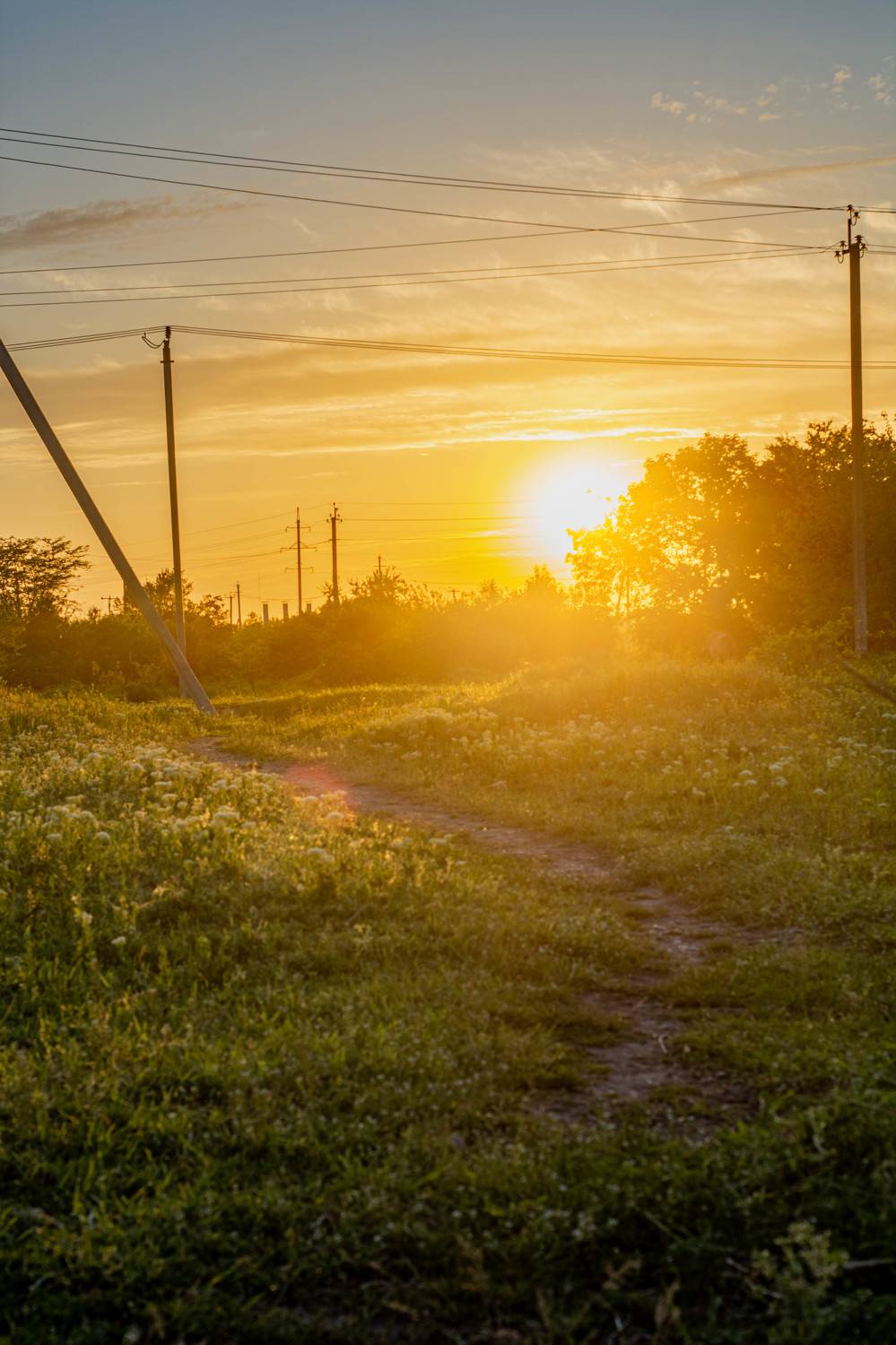 , Елена Плотникова