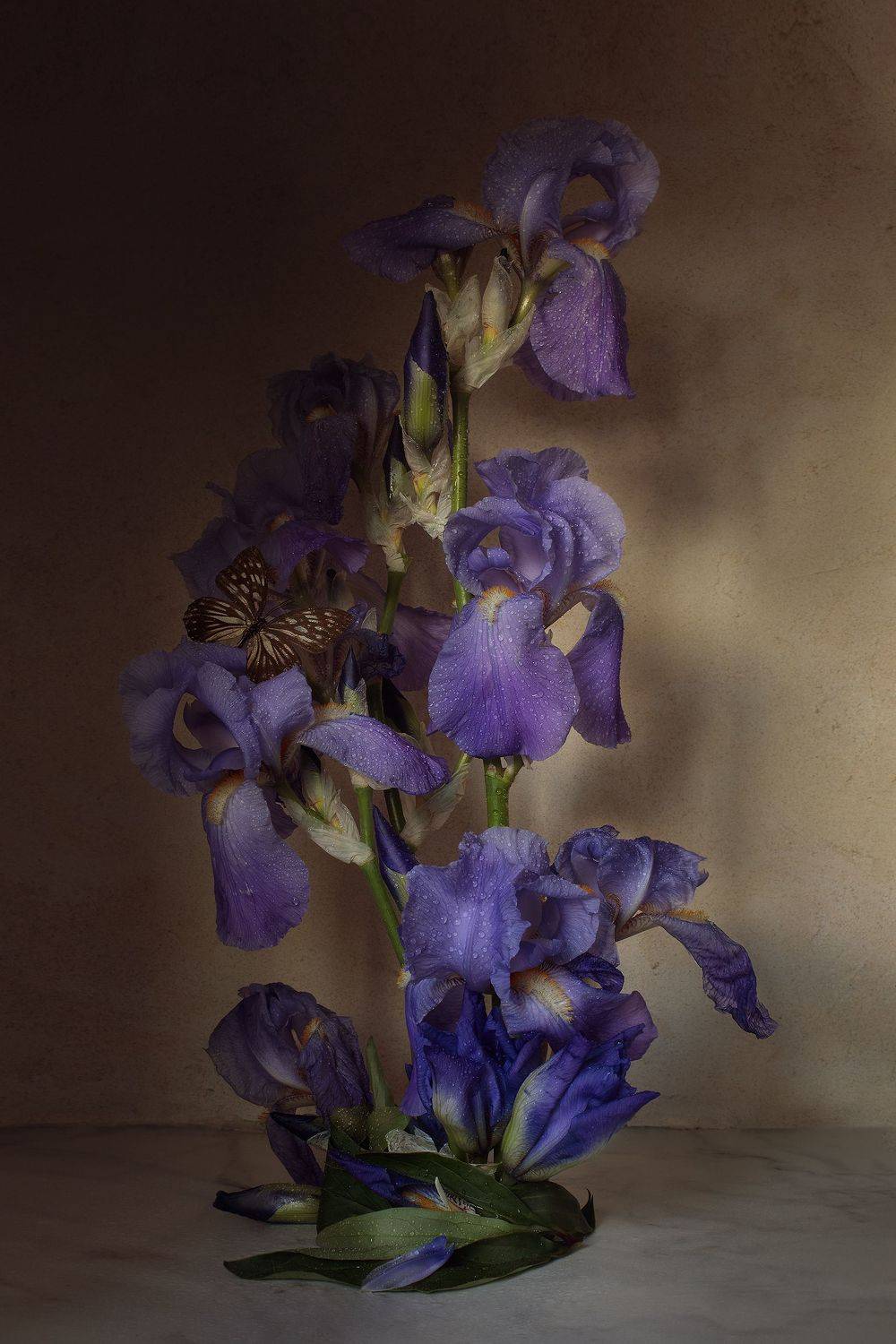 , Анастасия Кисляк