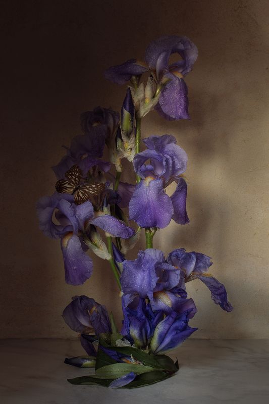 * фото превью