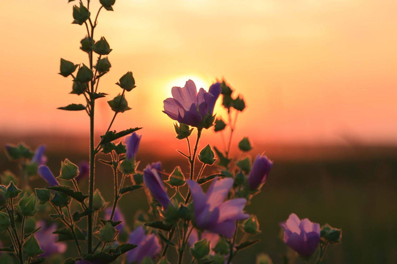 , Евгений Зинов