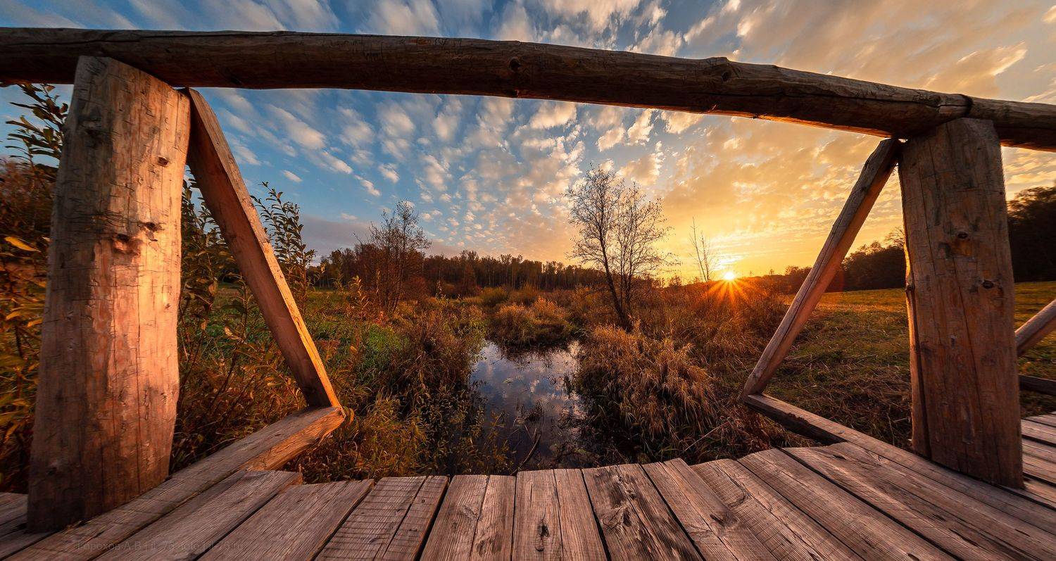 , Алексей Горохов