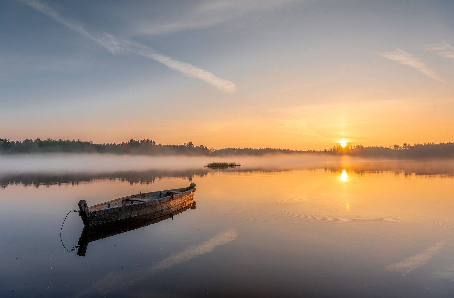 , Руслан Авдевич