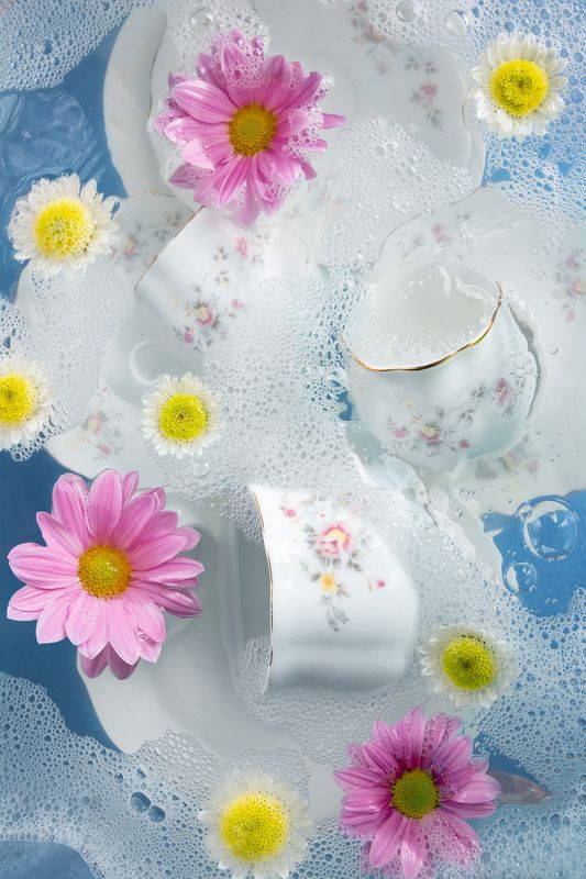 разное фото превью