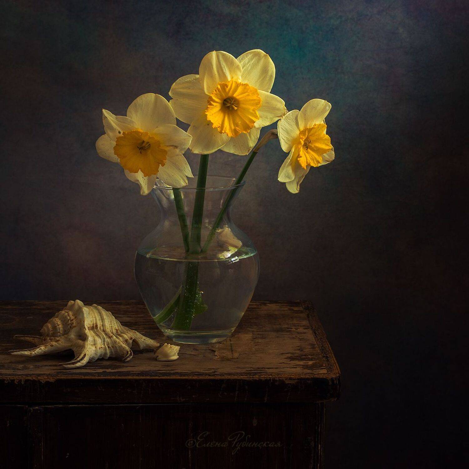 , Елена Рубинская