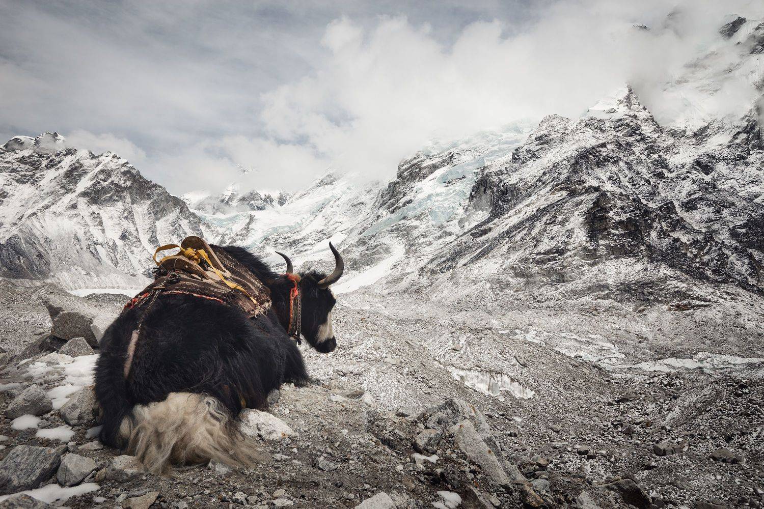 , Козаченко Алексей