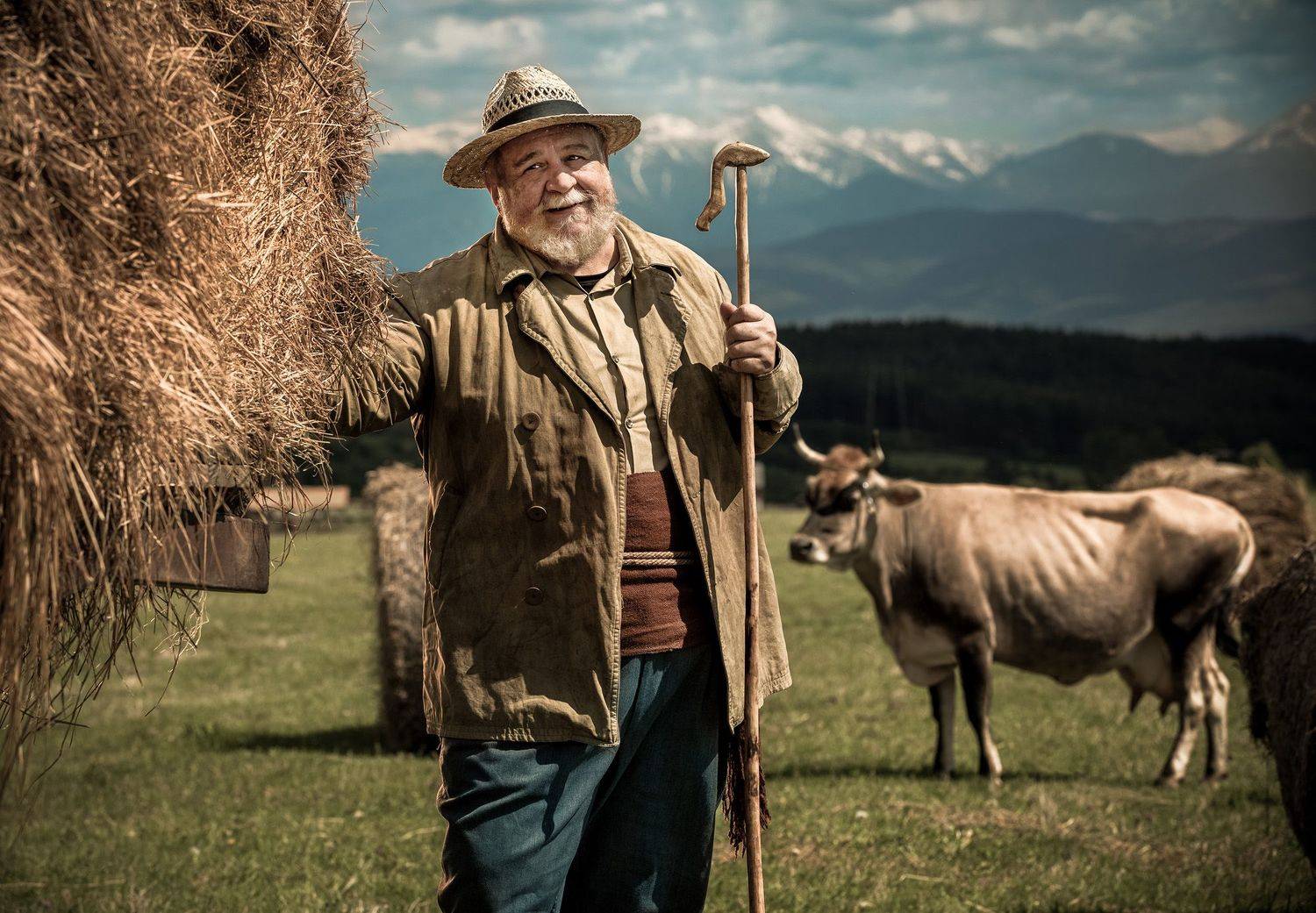 , Vladimir Karamazov