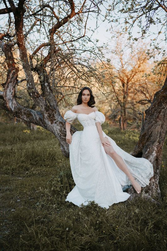 . фото превью