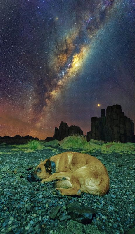 #australia #love #dunes #milkyway #night #stars #nightscape #nightsky #starry Mason The Good Boy фото превью