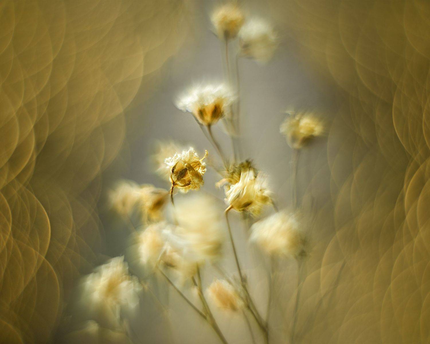 , Валерий Вторыгин