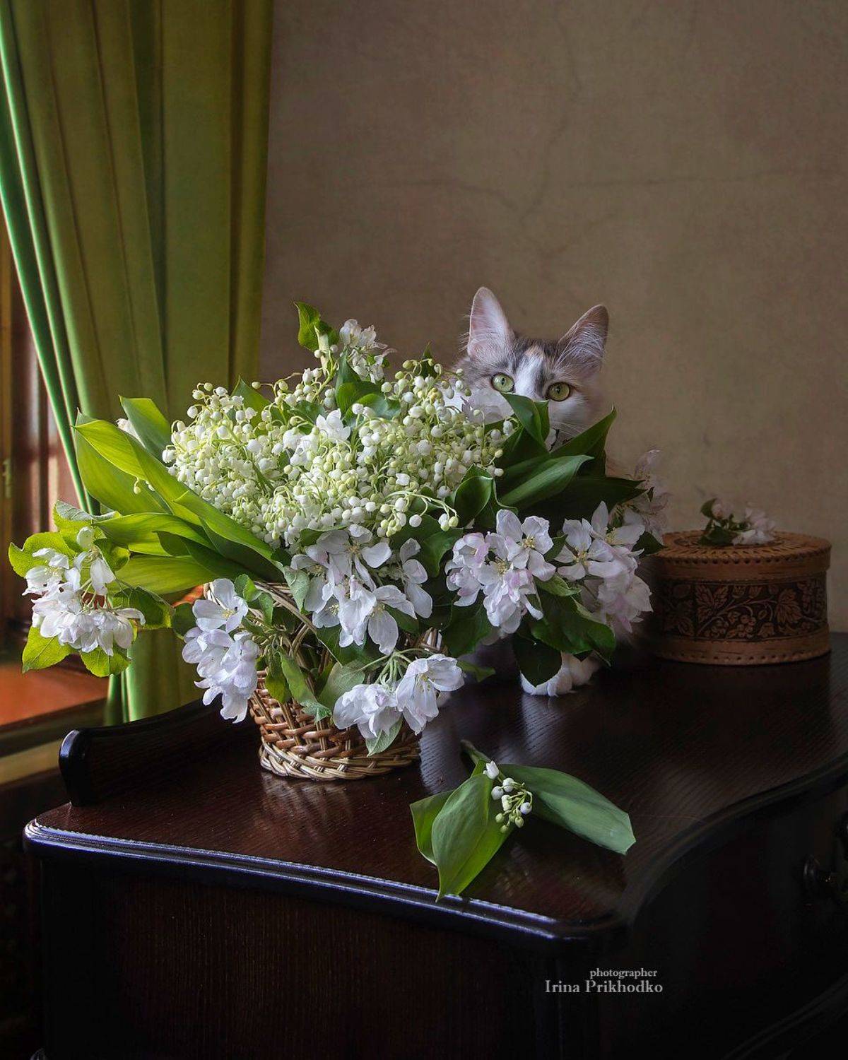натюрморт, весна, ландыши, кошка, забавные животные, Приходько Ирина
