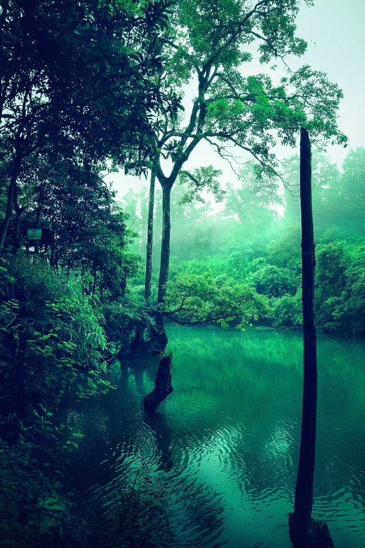 沧树绿水 沧树绿水 фото превью