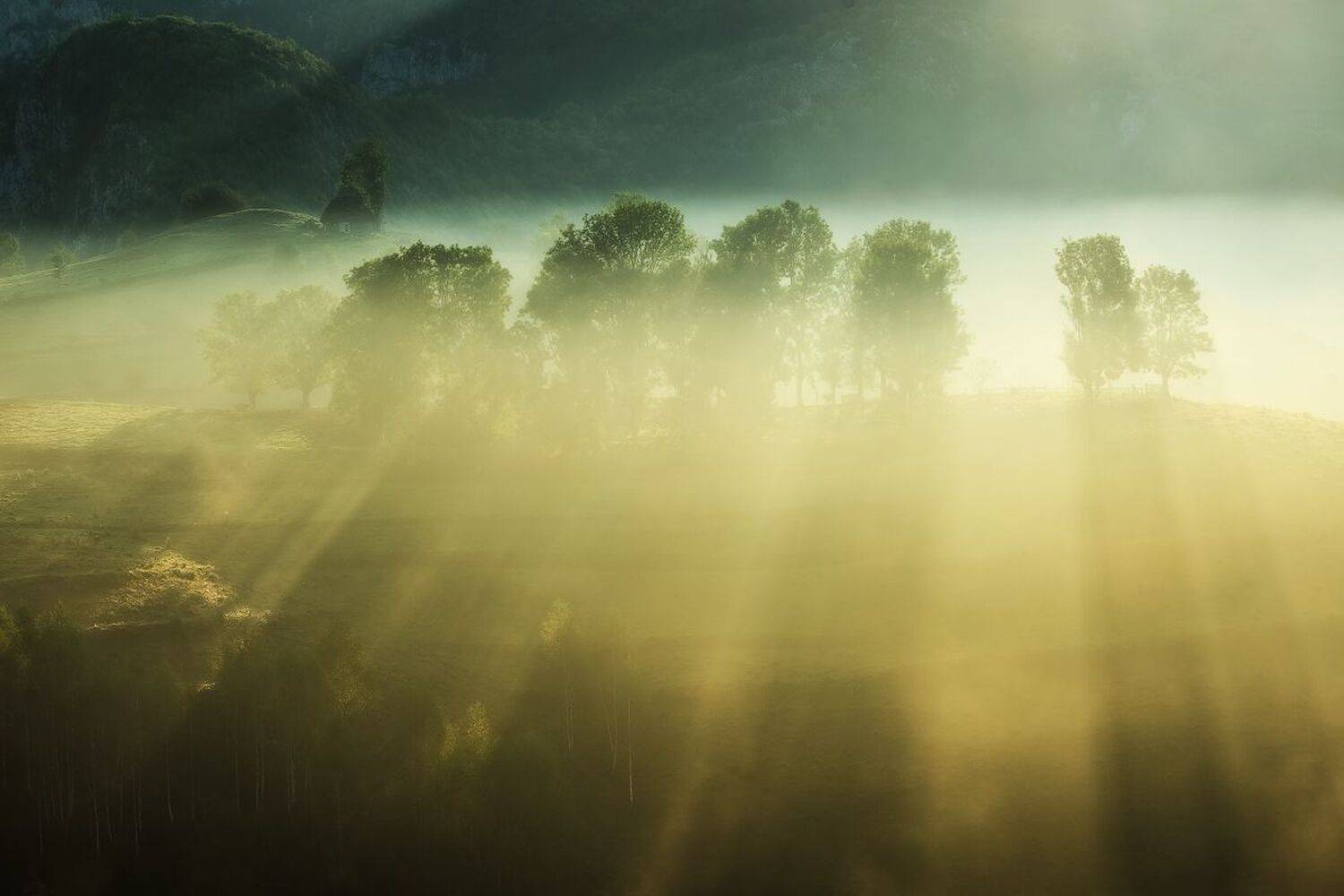 , Stefan Chirobocea