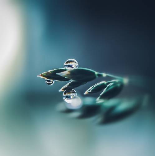 Макро капельки