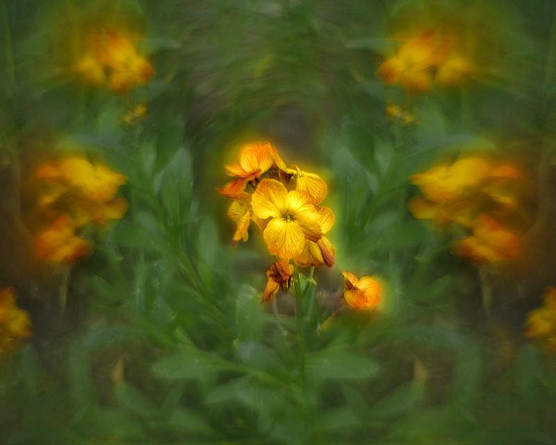 Весна чудесная пора фото превью