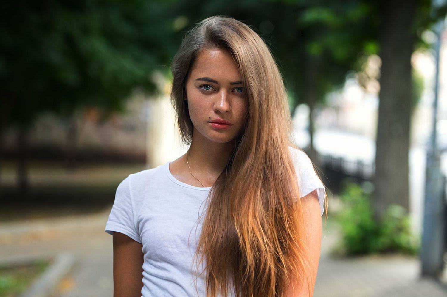 , Шульгин Дмитрий