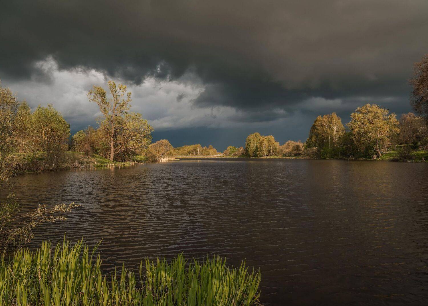 , Константин Дэм