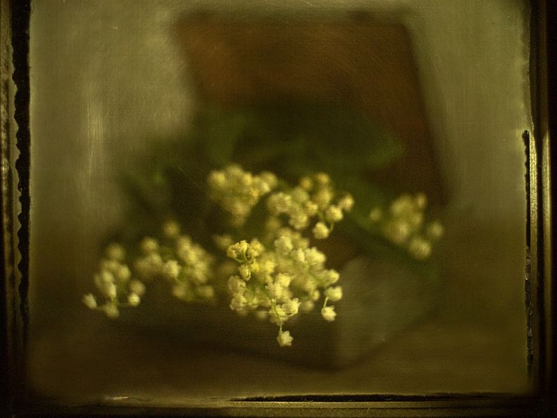 Весна приходит лишь во сне... фото превью